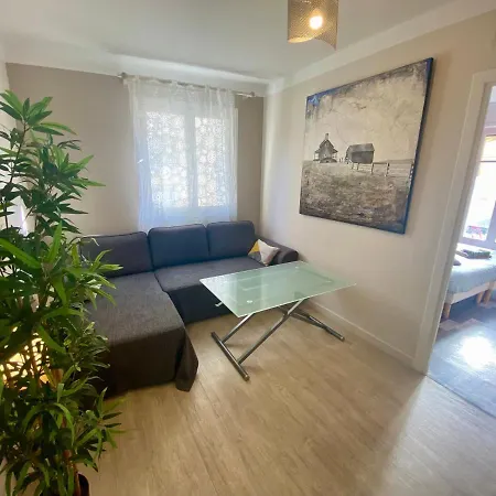 Les Orchidees By Scls Locations * Cannes